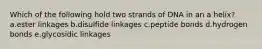 Which of the following hold two strands of DNA in an a helix? a.ester linkages b.disulfide linkages c.peptide bonds d.hydrogen bonds e.glycosidic linkages