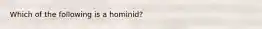 Which of the following is a hominid?