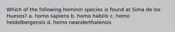 Which of the following hominin species is found at Sima de los Huesos? a. homo sapiens b. homo habilis c. homo heidelbergensis d. homo neanderthalensis