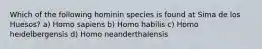 Which of the following hominin species is found at Sima de los Huesos? a) Homo sapiens b) Homo habilis c) Homo heidelbergensis d) Homo neanderthalensis