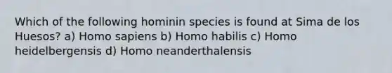 Which of the following hominin species is found at Sima de los Huesos? a) <a href='https://www.questionai.com/knowledge/k9aqcXDhxN-homo-sapiens' class='anchor-knowledge'>homo sapiens</a> b) <a href='https://www.questionai.com/knowledge/kG3hgw3hYa-homo-habilis' class='anchor-knowledge'>homo habilis</a> c) Homo heidelbergensis d) Homo neanderthalensis