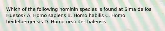 Which of the following hominin species is found at Sima de los Huesos? A. Homo sapiens B. Homo habilis C. Homo heidelbergensis D. Homo neanderthalensis