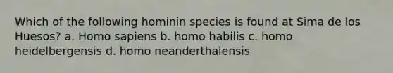 Which of the following hominin species is found at Sima de los Huesos? a. Homo sapiens b. homo habilis c. homo heidelbergensis d. homo neanderthalensis