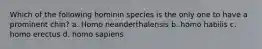 Which of the following hominin species is the only one to have a prominent chin? a. Homo neanderthalensis b. homo habilis c. homo erectus d. homo sapiens