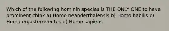 Which of the following hominin species is THE ONLY ONE to have prominent chin? a) Homo neanderthalensis b) Homo habilis c) Homo ergaster/erectus d) Homo sapiens