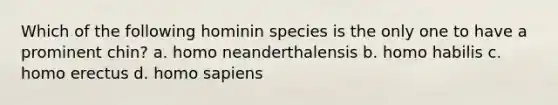 Which of the following hominin species is the only one to have a prominent chin? a. homo neanderthalensis b. <a href='https://www.questionai.com/knowledge/kG3hgw3hYa-homo-habilis' class='anchor-knowledge'>homo habilis</a> c. <a href='https://www.questionai.com/knowledge/kI1ONx7LAC-homo-erectus' class='anchor-knowledge'>homo erectus</a> d. <a href='https://www.questionai.com/knowledge/k9aqcXDhxN-homo-sapiens' class='anchor-knowledge'>homo sapiens</a>