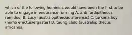 which of the following hominins would have been the first to be able to engage in endurance running A. ardi (ardipithecus ramidus) B. Lucy (australopithecus afarensis) C. turkana boy (homo erectus/ergaster) D. taung child (australopithecus africanus)