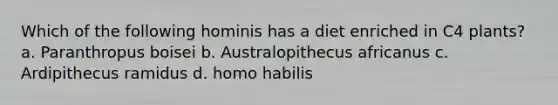 Which of the following hominis has a diet enriched in C4 plants? a. Paranthropus boisei b. Australopithecus africanus c. Ardipithecus ramidus d. <a href='https://www.questionai.com/knowledge/kG3hgw3hYa-homo-habilis' class='anchor-knowledge'>homo habilis</a>