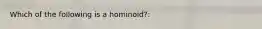 Which of the following is a hominoid?: