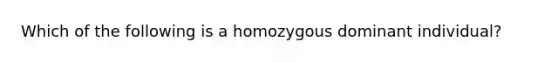 Which of the following is a homozygous dominant individual?