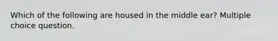 Which of the following are housed in the middle ear? Multiple choice question.