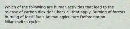 Which of the following are human activities that lead to the release of carbon dioxide? Check all that apply. Burning of forests Burning of fossil fuels Animal agriculture Deforestation Milankovitch cycles