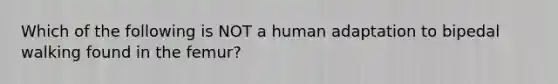 Which of the following is NOT a human adaptation to bipedal walking found in the femur?