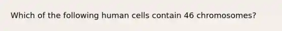 Which of the following human cells contain 46 chromosomes?