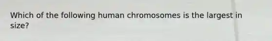 Which of the following human chromosomes is the largest in size?