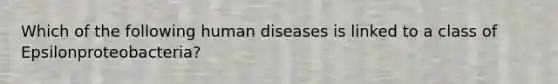 Which of the following human diseases is linked to a class of Epsilonproteobacteria?