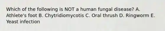 Which of the following is NOT a human fungal disease? A. Athlete's foot B. Chytridiomycotis C. Oral thrush D. Ringworm E. Yeast infection