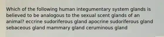 Which of the following human integumentary system glands is believed to be analogous to the sexual scent glands of an animal? eccrine sudoriferous gland apocrine sudoriferous gland sebaceous gland mammary gland ceruminous gland