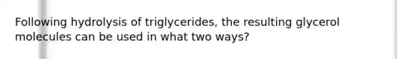 Following hydrolysis of triglycerides, the resulting glycerol molecules can be used in what two ways?