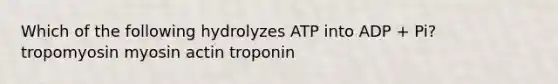 Which of the following hydrolyzes ATP into ADP + Pi? tropomyosin myosin actin troponin