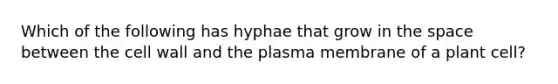 Which of the following has hyphae that grow in the space between the cell wall and the plasma membrane of a plant cell?