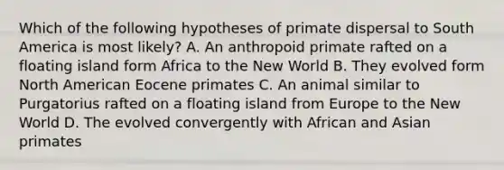 Which of the following hypotheses of primate dispersal to South America is most likely? A. An anthropoid primate rafted on a floating island form Africa to the New World B. They evolved form North American Eocene primates C. An animal similar to Purgatorius rafted on a floating island from Europe to the New World D. The evolved convergently with African and Asian primates