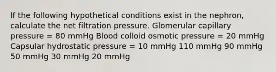 If the following hypothetical conditions exist in the nephron, calculate the net filtration pressure. Glomerular capillary pressure = 80 mmHg Blood colloid osmotic pressure = 20 mmHg Capsular hydrostatic pressure = 10 mmHg 110 mmHg 90 mmHg 50 mmHg 30 mmHg 20 mmHg