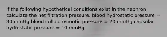 If the following hypothetical conditions exist in the nephron, calculate the net filtration pressure. blood hydrostatic pressure = 80 mmHg blood colloid osmotic pressure = 20 mmHg capsular hydrostatic pressure = 10 mmHg