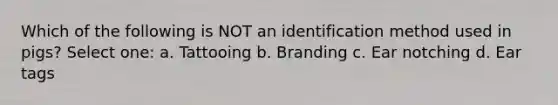 Which of the following is NOT an identification method used in pigs? Select one: a. Tattooing b. Branding c. Ear notching d. Ear tags