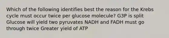 Which of the following identifies best the reason for the Krebs cycle must occur twice per glucose molecule? G3P is split Glucose will yield two pyruvates NADH and FADH must go through twice Greater yield of ATP