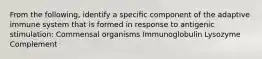 From the following, identify a speciﬁc component of the adaptive immune system that is formed in response to antigenic stimulation: Commensal organisms Immunoglobulin Lysozyme Complement