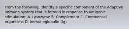 From the following, identify a specific component of the adaptive immune system that is formed in response to antigenic stimulation: A. Lysozyme B. Complement C. Commensal organisms D. Immunoglobulin (Ig)