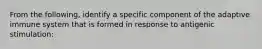 From the following, identify a specific component of the adaptive immune system that is formed in response to antigenic stimulation: