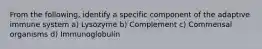 From the following, identify a specific component of the adaptive immune system a) Lysozyme b) Complement c) Commensal organisms d) Immunoglobulin