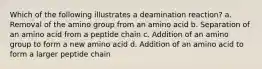 Which of the following illustrates a deamination reaction? a. Removal of the amino group from an amino acid b. Separation of an amino acid from a peptide chain c. Addition of an amino group to form a new amino acid d. Addition of an amino acid to form a larger peptide chain