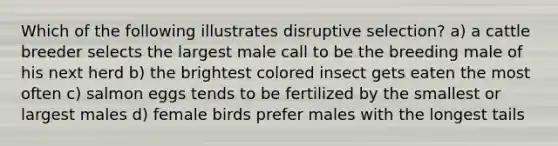 Which of the following illustrates disruptive selection? a) a cattle breeder selects the largest male call to be the breeding male of his next herd b) the brightest colored insect gets eaten the most often c) salmon eggs tends to be fertilized by the smallest or largest males d) female birds prefer males with the longest tails