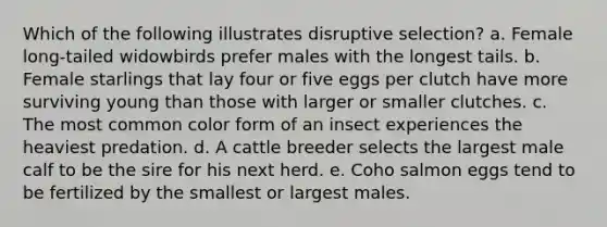 Which of the following illustrates disruptive selection? a. Female long-tailed widowbirds prefer males with the longest tails. b. Female starlings that lay four or five eggs per clutch have more surviving young than those with larger or smaller clutches. c. The most common color form of an insect experiences the heaviest predation. d. A cattle breeder selects the largest male calf to be the sire for his next herd. e. Coho salmon eggs tend to be fertilized by the smallest or largest males.