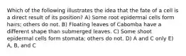Which of the following illustrates the idea that the fate of a cell is a direct result of its position? A) Some root epidermal cells form hairs; others do not. B) Floating leaves of Cabomba have a different shape than submerged leaves. C) Some shoot epidermal cells form stomata; others do not. D) A and C only E) A, B, and C