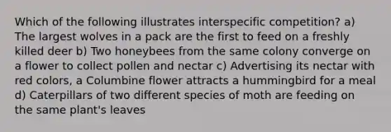 Which of the following illustrates interspecific competition? a) The largest wolves in a pack are the first to feed on a freshly killed deer b) Two honeybees from the same colony converge on a flower to collect pollen and nectar c) Advertising its nectar with red colors, a Columbine flower attracts a hummingbird for a meal d) Caterpillars of two different species of moth are feeding on the same plant's leaves