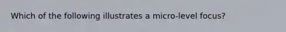 Which of the following illustrates a micro-level focus?