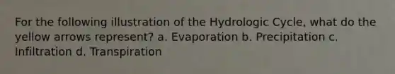 For the following illustration of the Hydrologic Cycle, what do the yellow arrows represent? a. Evaporation b. Precipitation c. Infiltration d. Transpiration