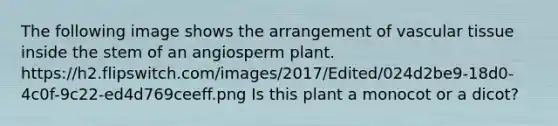 The following image shows the arrangement of vascular tissue inside the stem of an angiosperm plant. https://h2.flipswitch.com/images/2017/Edited/024d2be9-18d0-4c0f-9c22-ed4d769ceeff.png Is this plant a monocot or a dicot?