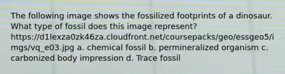 The following image shows the fossilized footprints of a dinosaur. What type of fossil does this image represent? https://d1lexza0zk46za.cloudfront.net/coursepacks/geo/essgeo5/imgs/vq_e03.jpg a. chemical fossil b. permineralized organism c. carbonized body impression d. Trace fossil