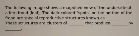 The following image shows a magnified view of the underside of a fern frond (leaf). The dark colored "spots" on the bottom of the frond are special reproductive structures known as ________. These structures are clusters of ________ that produce ________ by ________.