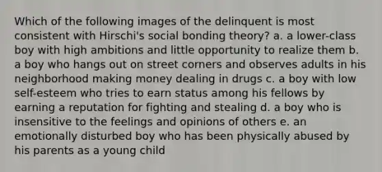 Which of the following images of the delinquent is most consistent with Hirschi's social bonding theory? a. a lower-class boy with high ambitions and little opportunity to realize them b. a boy who hangs out on street corners and observes adults in his neighborhood making money dealing in drugs c. a boy with low self-esteem who tries to earn status among his fellows by earning a reputation for fighting and stealing d. a boy who is insensitive to the feelings and opinions of others e. an emotionally disturbed boy who has been physically abused by his parents as a young child