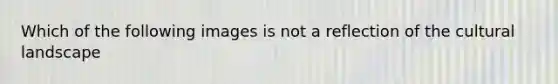 Which of the following images is not a reflection of the cultural landscape