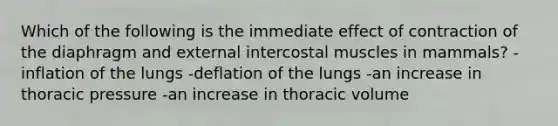 Which of the following is the immediate effect of contraction of the diaphragm and external intercostal muscles in mammals? -inflation of the lungs -deflation of the lungs -an increase in thoracic pressure -an increase in thoracic volume