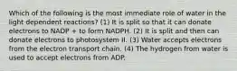 Which of the following is the most immediate role of water in the light dependent reactions? (1) It is split so that it can donate electrons to NADP + to form NADPH. (2) It is split and then can donate electrons to photosystem II. (3) Water accepts electrons from the electron transport chain. (4) The hydrogen from water is used to accept electrons from ADP.