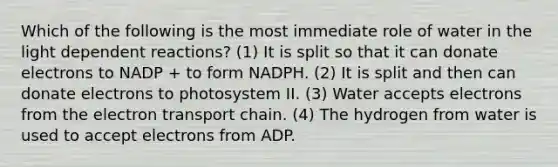 Which of the following is the most immediate role of water in the light dependent reactions? (1) It is split so that it can donate electrons to NADP + to form NADPH. (2) It is split and then can donate electrons to photosystem II. (3) Water accepts electrons from the electron transport chain. (4) The hydrogen from water is used to accept electrons from ADP.