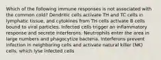 Which of the following immune responses is not associated with the common cold? Dendritic cells activate TH and TC cells in lymphatic tissue, and cytokines from TH cells activate B cells bound to viral particles. Infected cells trigger an inflammatory response and secrete interferons. Neutrophils enter the area in large numbers and phagocytize bacteria. Interferons prevent infection in neighboring cells and activate natural killer (NK) cells, which lyse infected cells